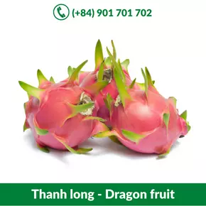 Thanh long - Dragon fruit_-06-11-2021-23-31-06.webp